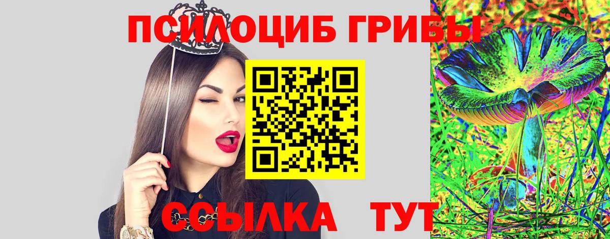 Псилоцибиновые грибы Cubensis  Вход с VPN  Галлюциногенные грибы MAGIC MUSHROOMS  Иваново 